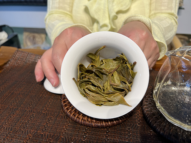 图为2026年布朗山精品小众茶