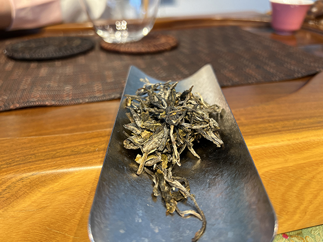 图为蓝版2025摆尾箐古树茶