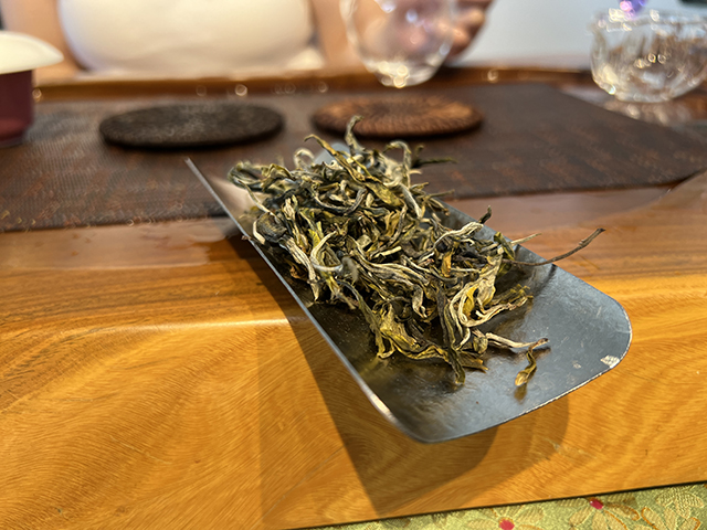 图为2026年宁洱摆尾箐一号古树茶样