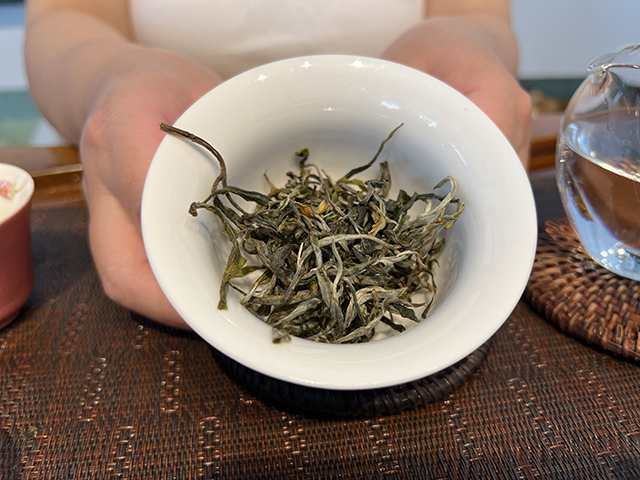 图为2026年宁洱摆尾箐一号古树茶样