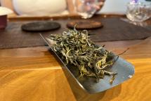 2026年摆尾箐一号古树茶品鉴记：茶汤细腻，蜜甜留香，体感明显