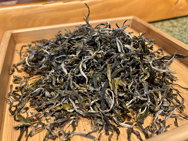 图为2026年宁洱摆尾箐二号古树茶样