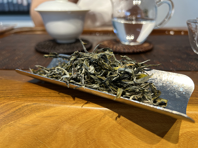 图为2026年宁洱摆尾箐二号古树茶样