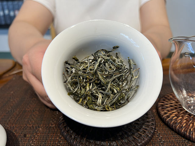 图为2026年宁洱摆尾箐二号古树茶样