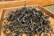 2026年摆尾箐二号古树茶：入口甜润，三泡茶气上头，九泡喉韵还在