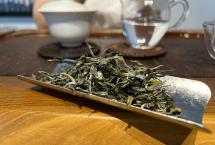 存茶口粮新选择：2026年摆尾箐二号，甜润饱满，耐泡有底子