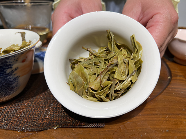 图为2026年困鹿山细叶古树茶样品