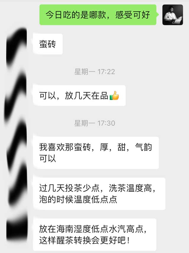 图为海南老茶人评价春城茶厂2002年攸乐青饼蛮砖款