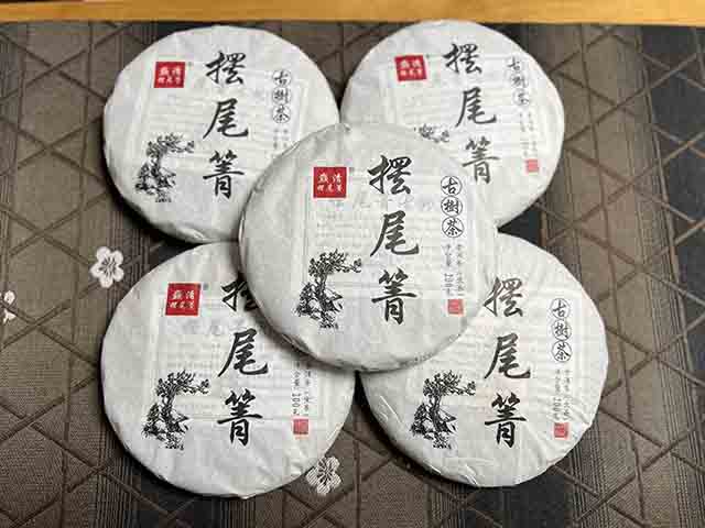 图为2021年摆尾箐古树茶小饼