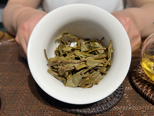 图为2021年摆尾箐古树茶小饼