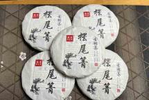 一口甘蔗甜，体感强，气韵强｜2021摆尾箐古树茶真实开汤