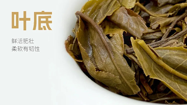 玫瑰大益生茶2601批次普洱茶