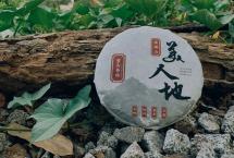 重山茶坊制茶日记：美人地的香韵