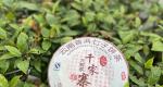 喝一口就难以为继，记2007年千家寨大树青饼的真实品鉴