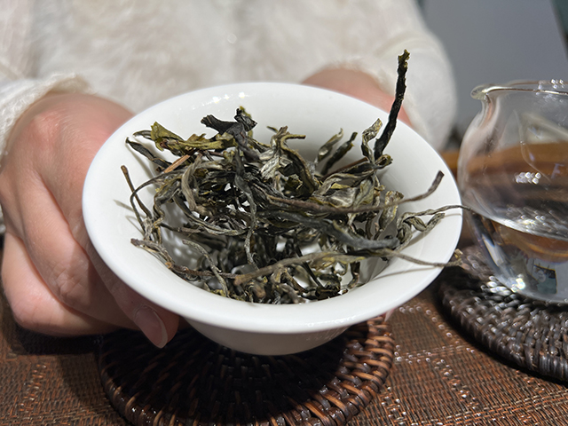 图为2026年镇沅茶山箐古树茶散料