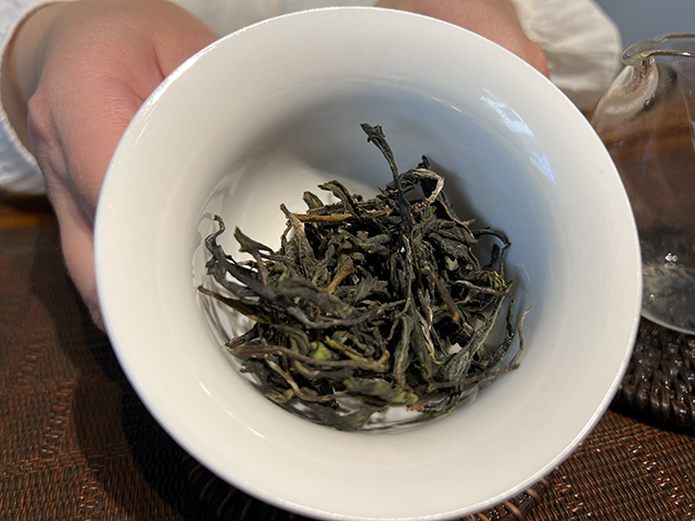 图为2026年邦东绿水塘古树茶散料