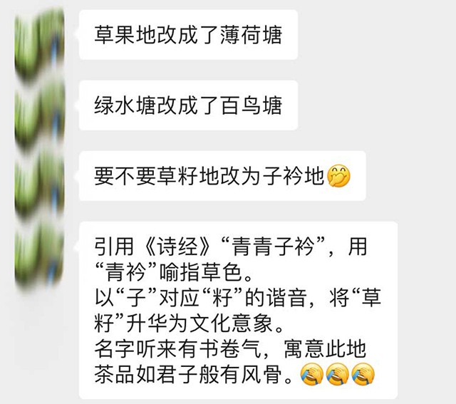 图为2026年邦东草籽地古树茶散料