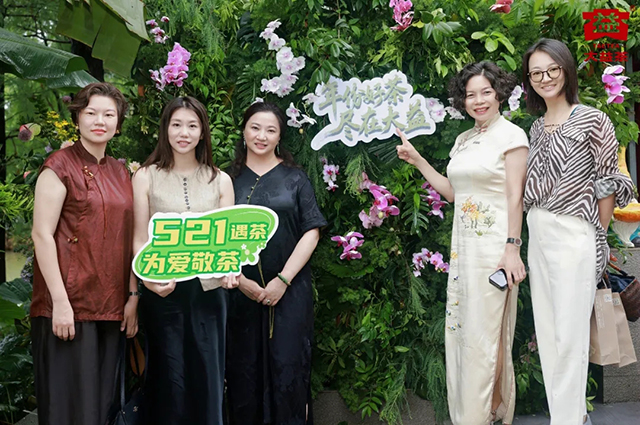 大益茶521国际茶日