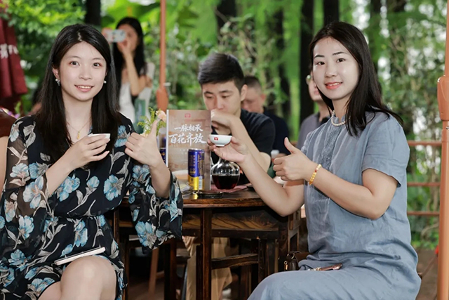 大益茶521国际茶日