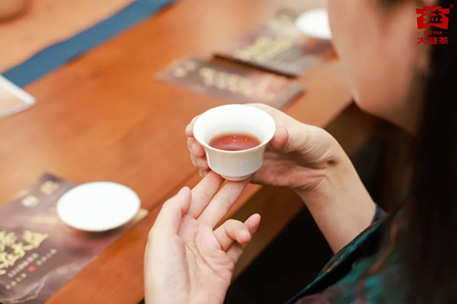 大益茶521国际茶日