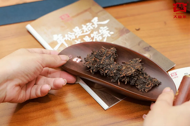 大益茶521国际茶日