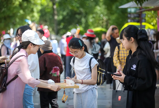 大益茶521国际茶日