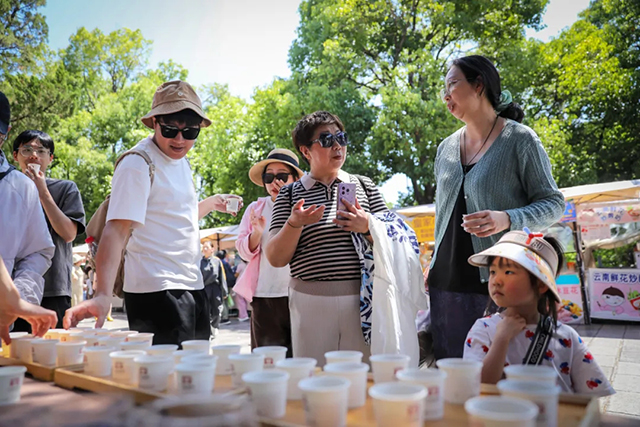 大益茶521国际茶日