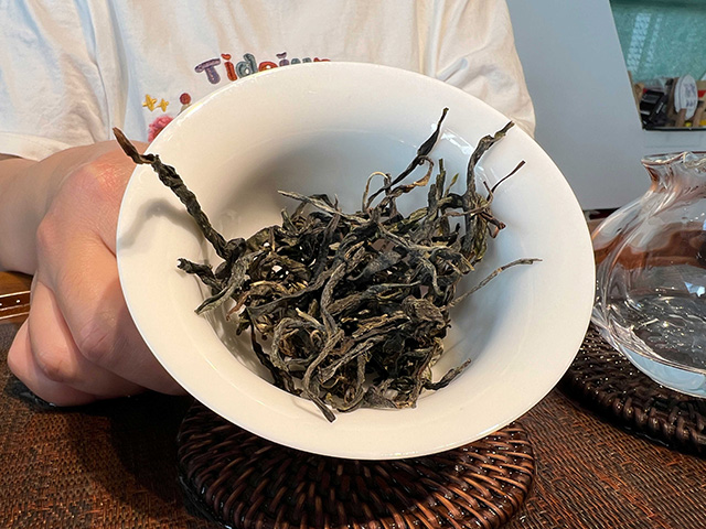 图为2026年邦东草籽地古树茶散料