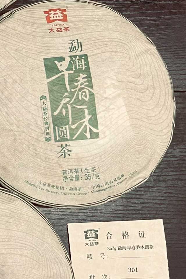大益2013年早春乔木