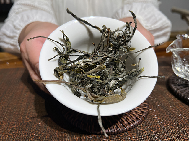 图为2026年镇沅茶山箐古树茶散料