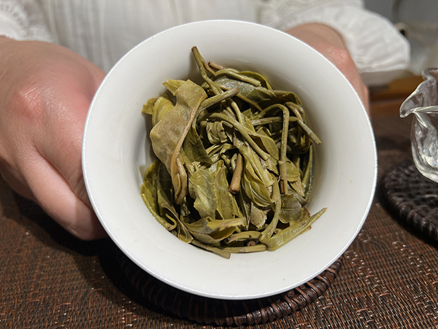 图为2026年镇沅茶山箐古树茶散料