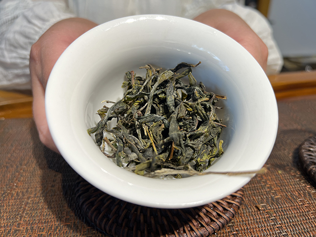 图为2026年邦东草籽地古树茶散料H总样本