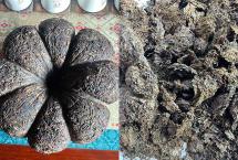 工艺茶放久了会好喝吗？90年代金瓜沱茶的真实品鉴体验