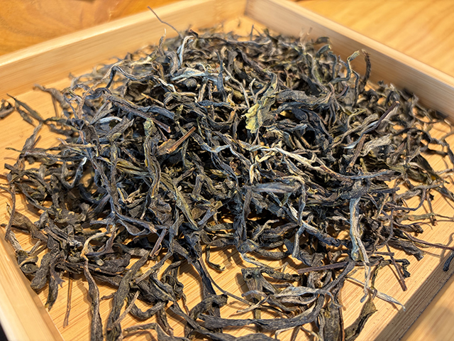 图为2026年昔归丫口古树茶散料品鉴