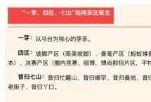 既柔且刚，小众之味：2026昔归丫口老寨古树茶，值得细品