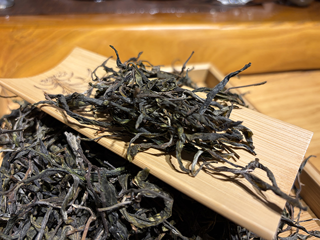 图为2026年昔归老街子古树茶散料品鉴H总样本