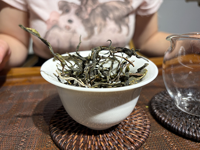 图为2026年昔归老街子古树茶散料品鉴H总样本