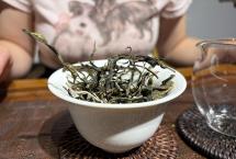 昔归七山再添新秀！2026年老街子古树茶：清甜鲜爽，质价比远超忙麓山？
