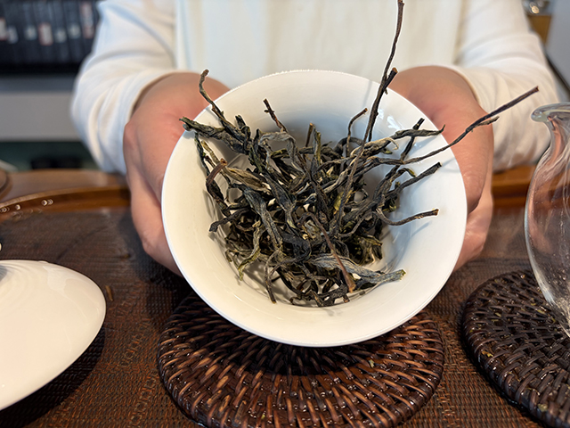 图为2026年南糯山多依寨挑采古树茶料