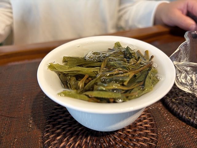 图为2026年南糯山多依寨挑采古树茶料