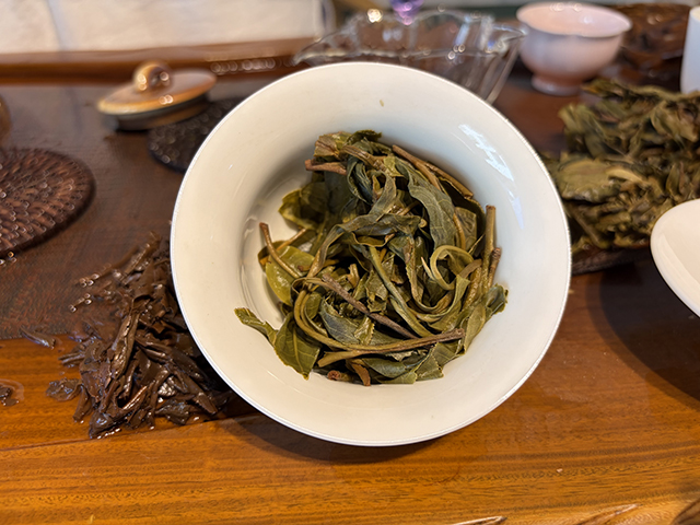 图为2026年南糯山多依寨挑采古树茶料