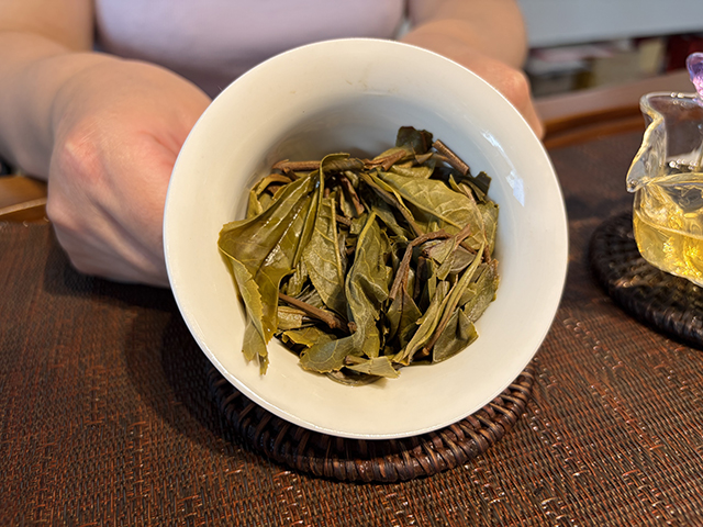 图为2026年昔归丫口古树茶散料品鉴