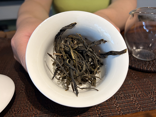 图为2025年白沙坡古树茶