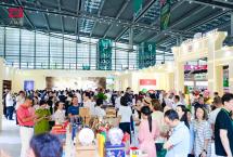 百炼成金，再铸经典｜大益「金大益2501」荣耀发布