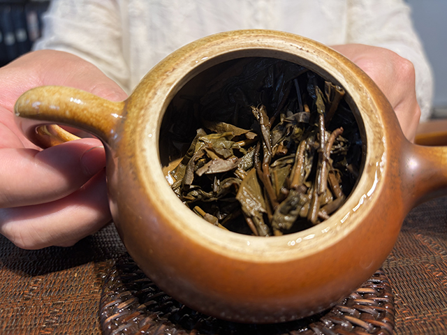 图为紫玉牌2006年忙肺古树茶