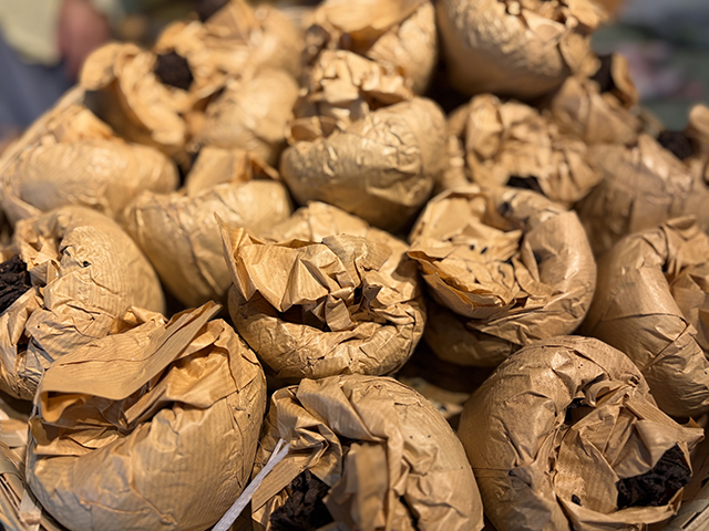 图为私藏茶1999年磨菇沱熟沱