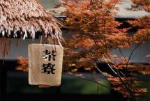 熟普选购攻略：四步挑出称心口粮茶