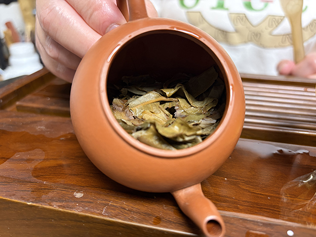 图为老东瓜1998年易武古茶王青饼