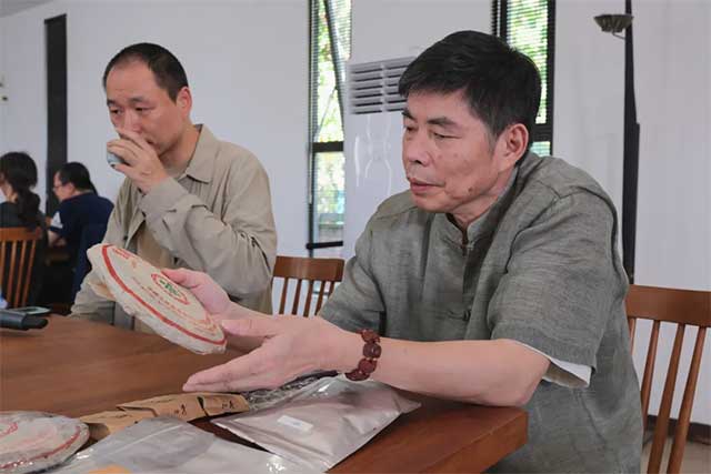 茶叶进化论